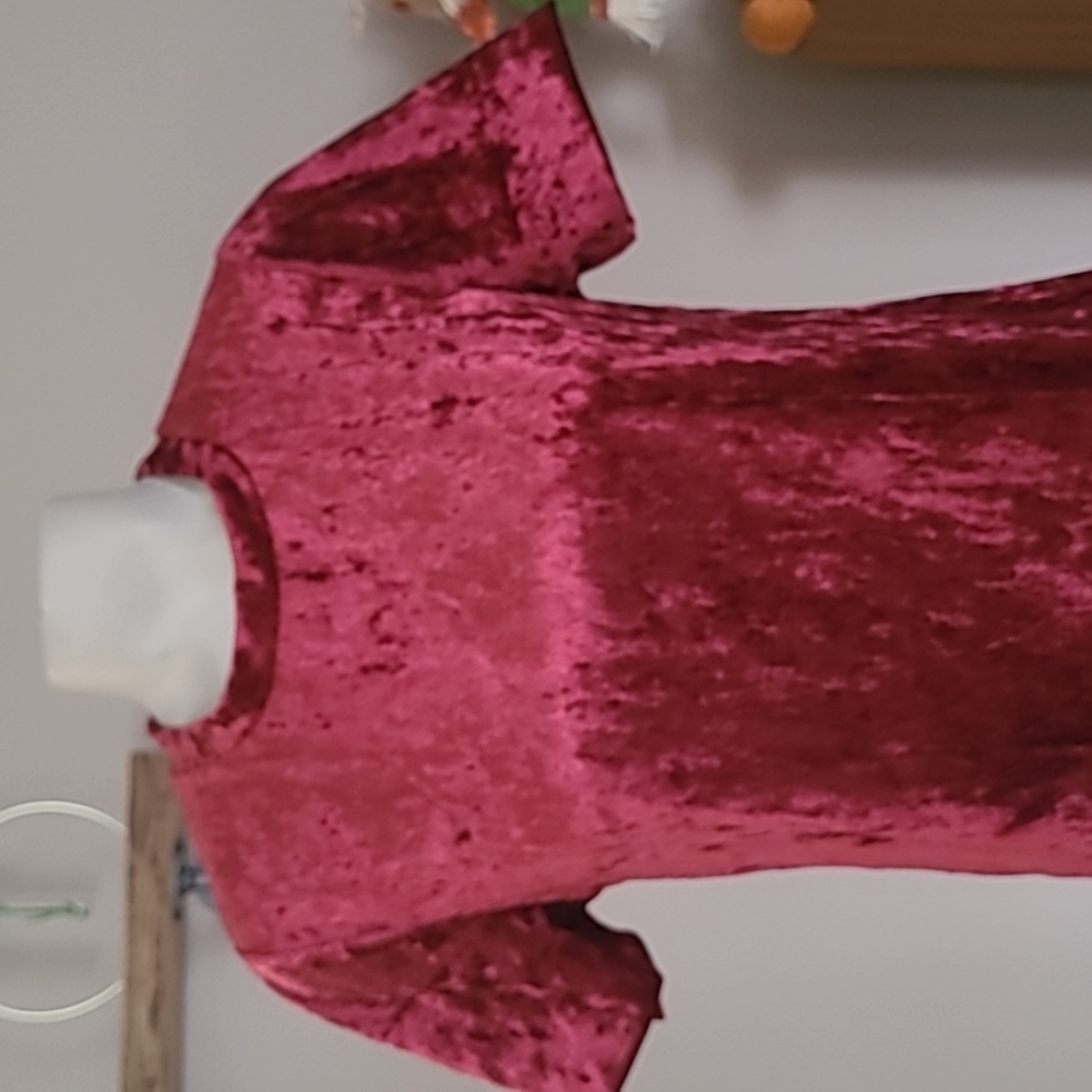 🔅Red Velvet Dress - Picture 2 of 5